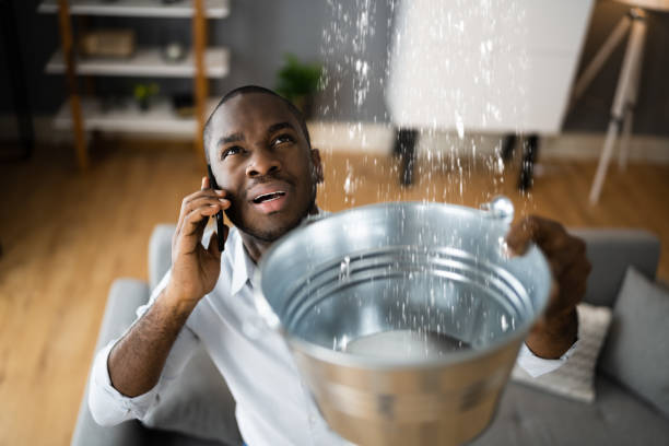 Best Sewage cleanup and water damage restoration  in Parksdale, CA
