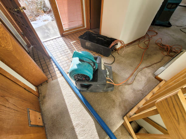 Water damage restoration insurance claims in Parksdale, CA